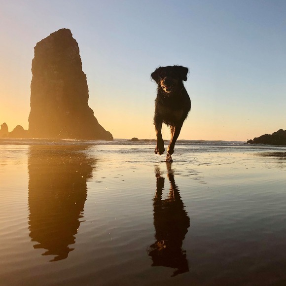 Meet your Posher, Rhiannon - Picture 2 of 2